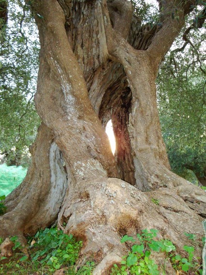 la nostra storia agricampeggio ugento