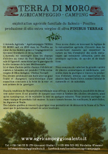 affiche NICO