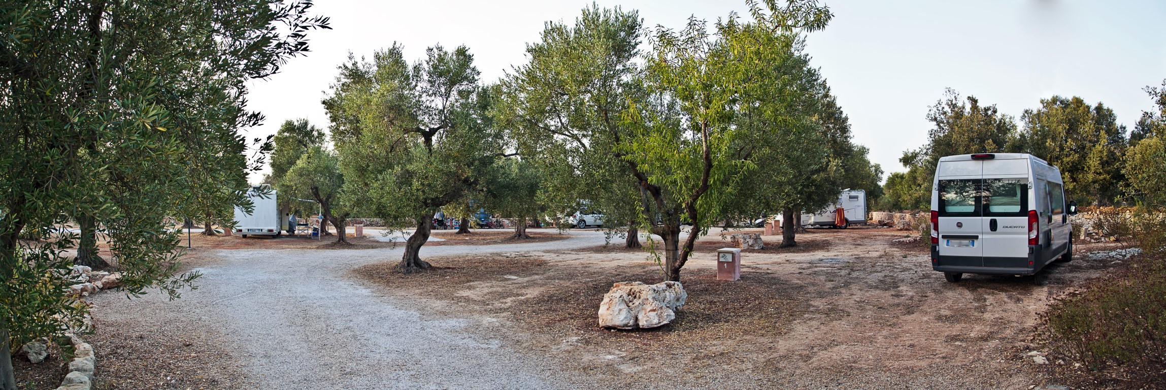 agricampeggio-salento-2017-6